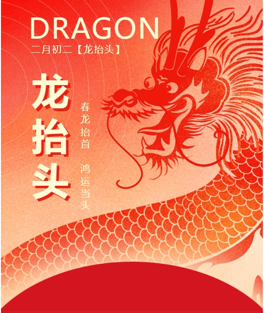 二月二龍?zhí)ь^，春龍振翅鴻運(yùn)啟 —— 佳木斯網(wǎng)云信息科技有限公司與您共迎新春盛景